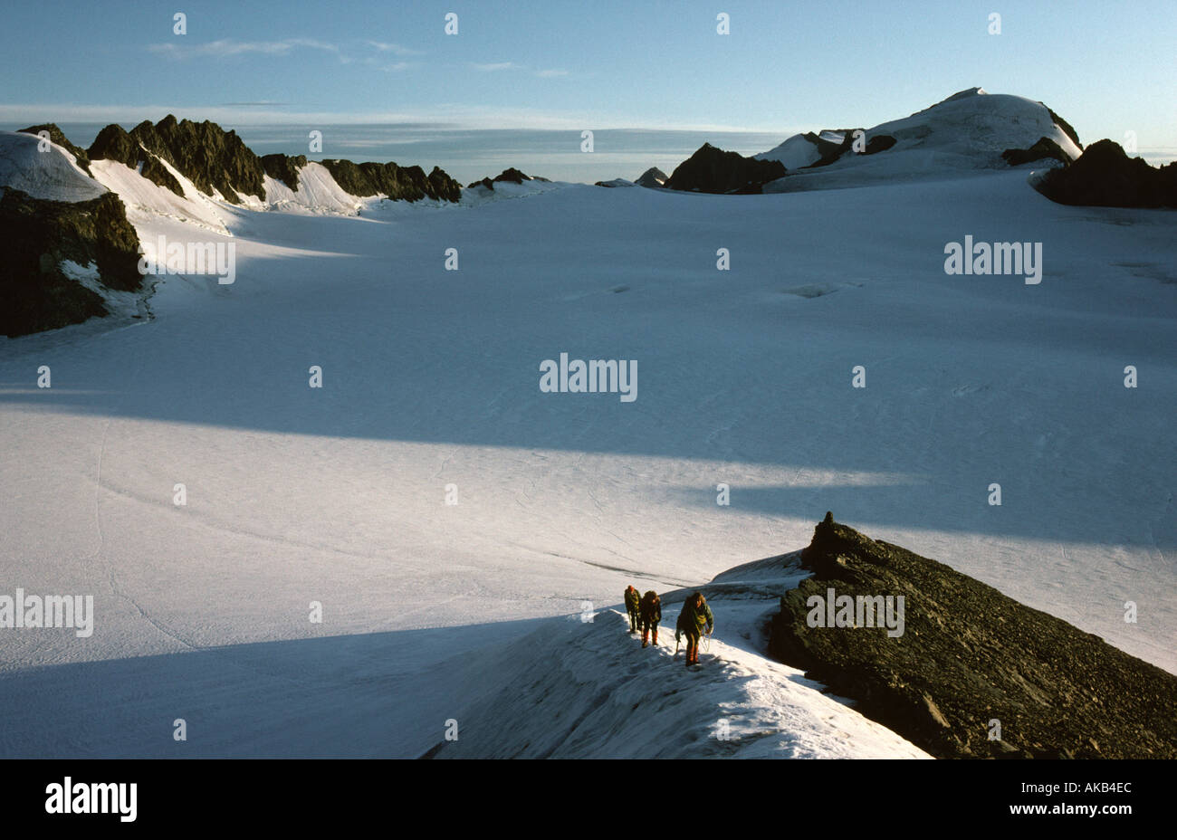 Bergsteiger auf der vorderen Hintereis Spitze, Ötztaler Alpen, Österreich Stockfoto