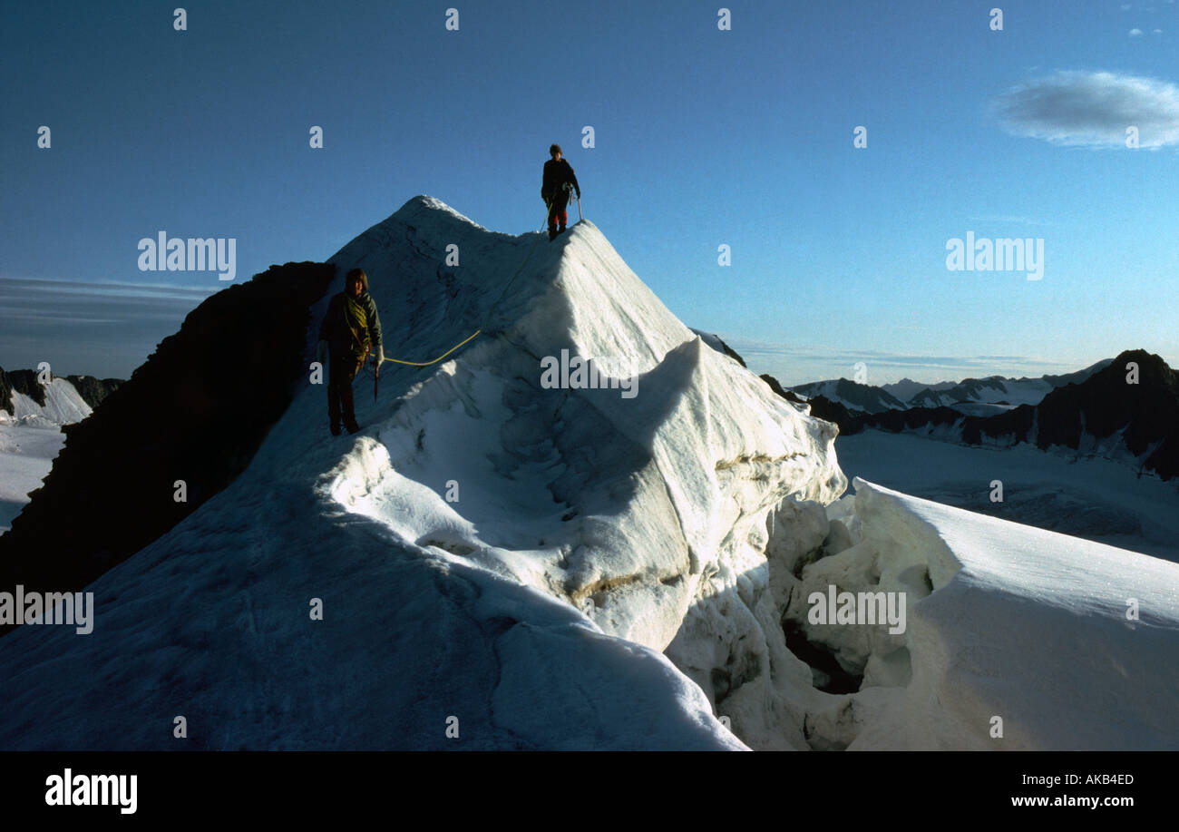 Bergsteiger auf der vorderen Hintereis Spitze, Ötztaler Alpen, Österreich Stockfoto