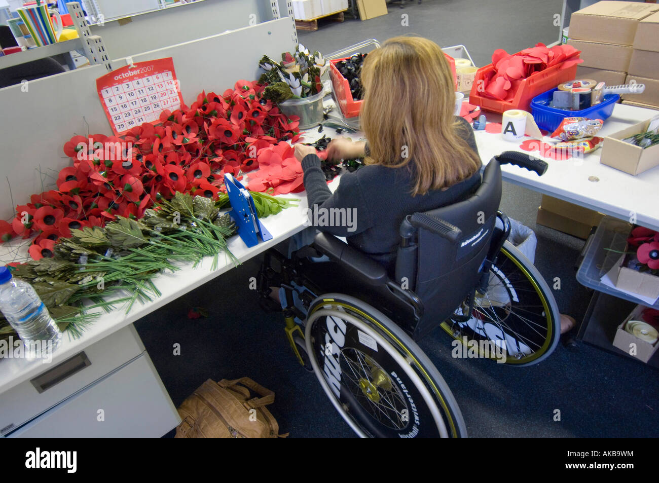 Mohn-Hersteller machen aus ihrem Rollstuhl werkseitig an Richmond Surrey British Legion Mohn Mohnblumen deaktiviert Stockfoto