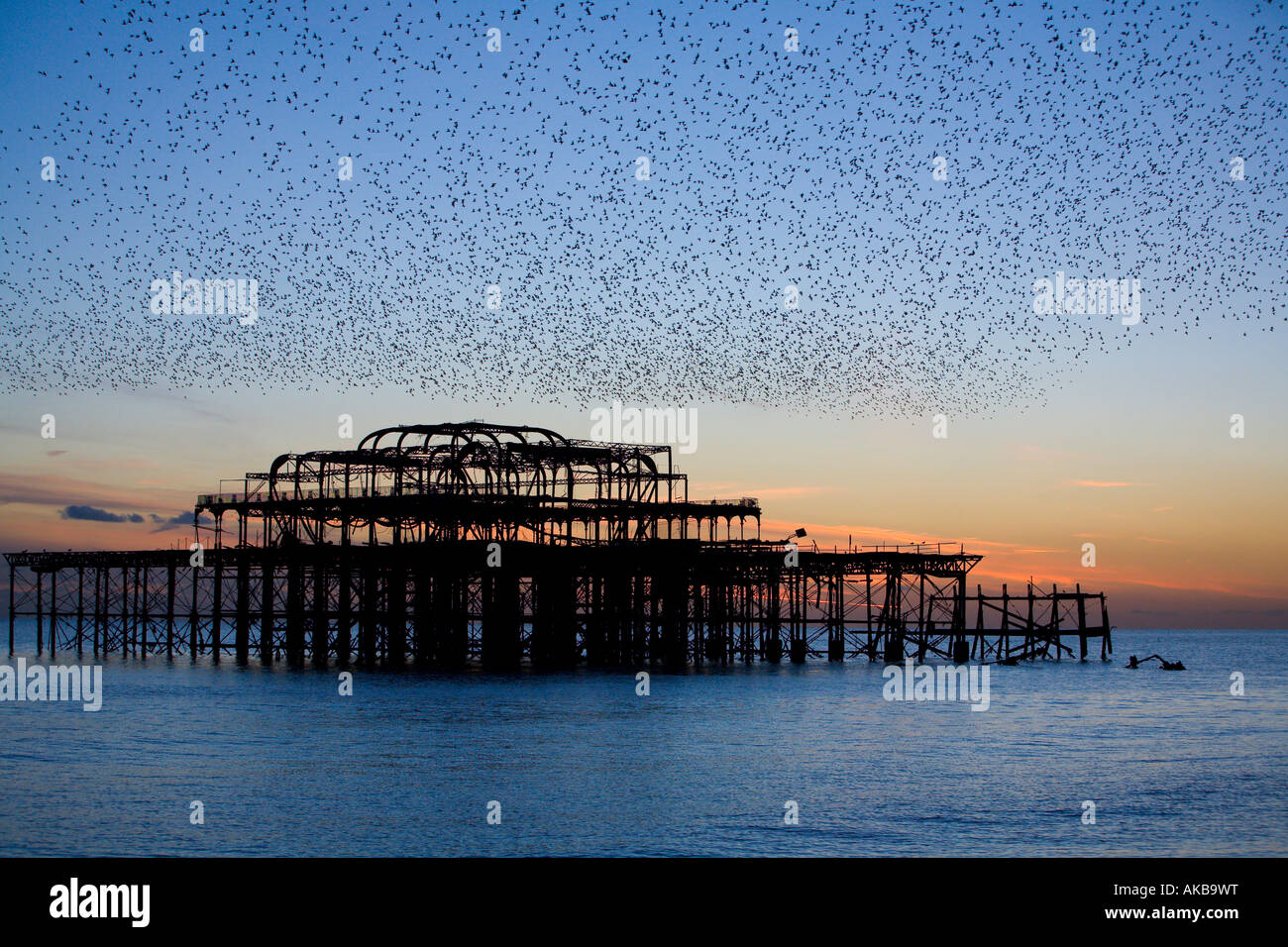 Verderbter West Pier bei Sonnenuntergang mit Starlings in Brighton, East Sussex Stockfoto