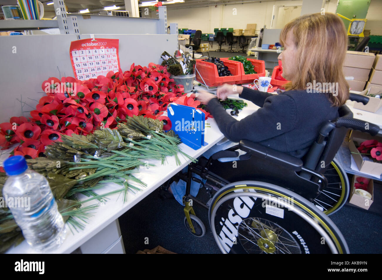 Mohn-Hersteller machen aus ihrem Rollstuhl werkseitig an Richmond Surrey British Legion Mohn Mohnblumen deaktiviert Stockfoto