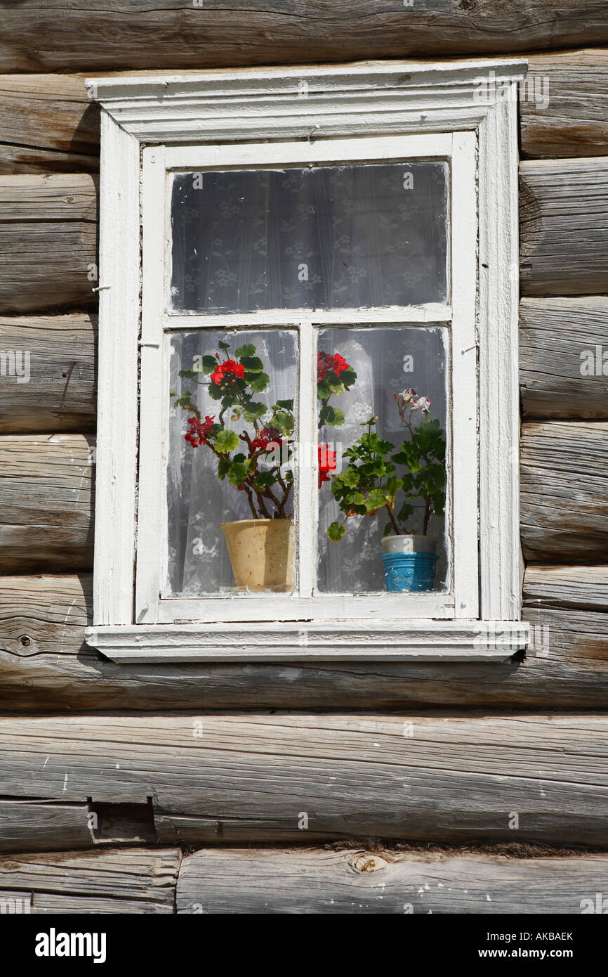 Fenster im Holzhaus, Oshevensk, Archangelsk (Archangelsk) Region, Russland Stockfoto