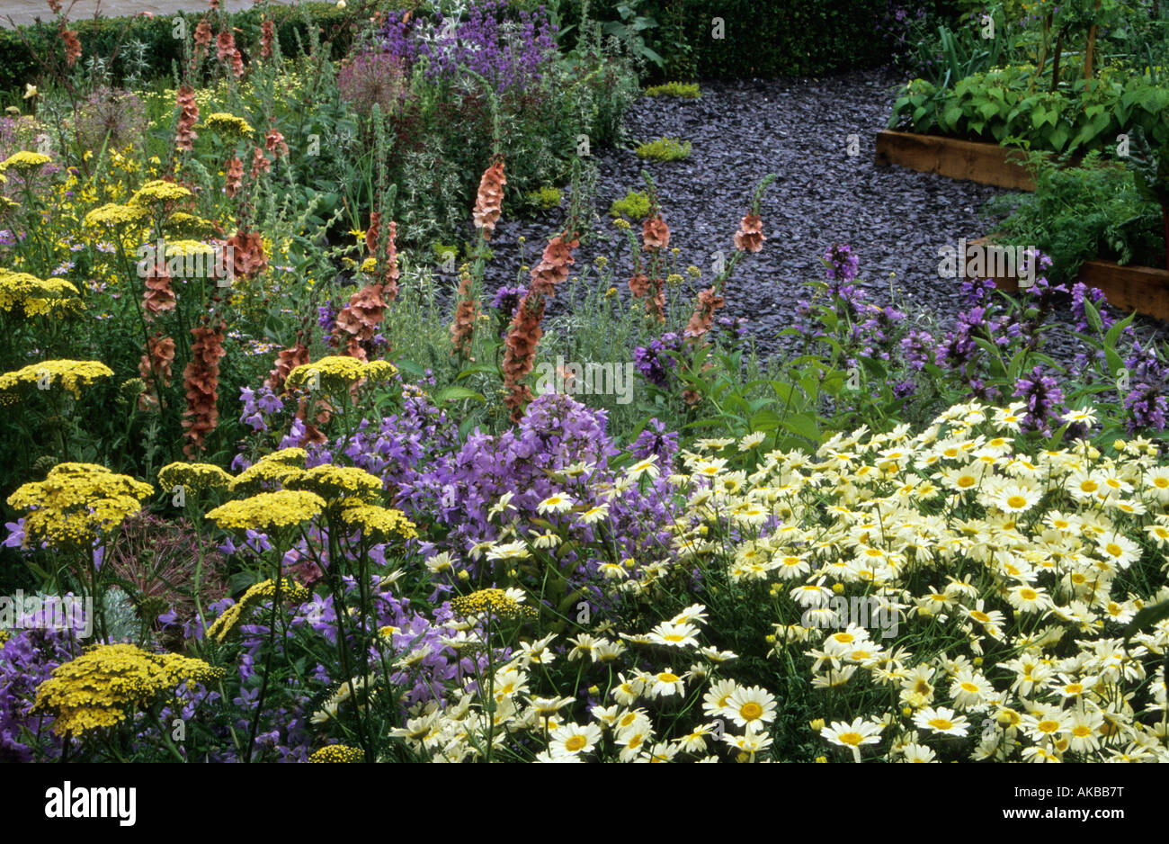Hampton Court FS 2000 Design Landart mehrjährige Grenze Achillea Anthea Anthemis Sauce Hollandaise Campanula Verbascum Stockfoto