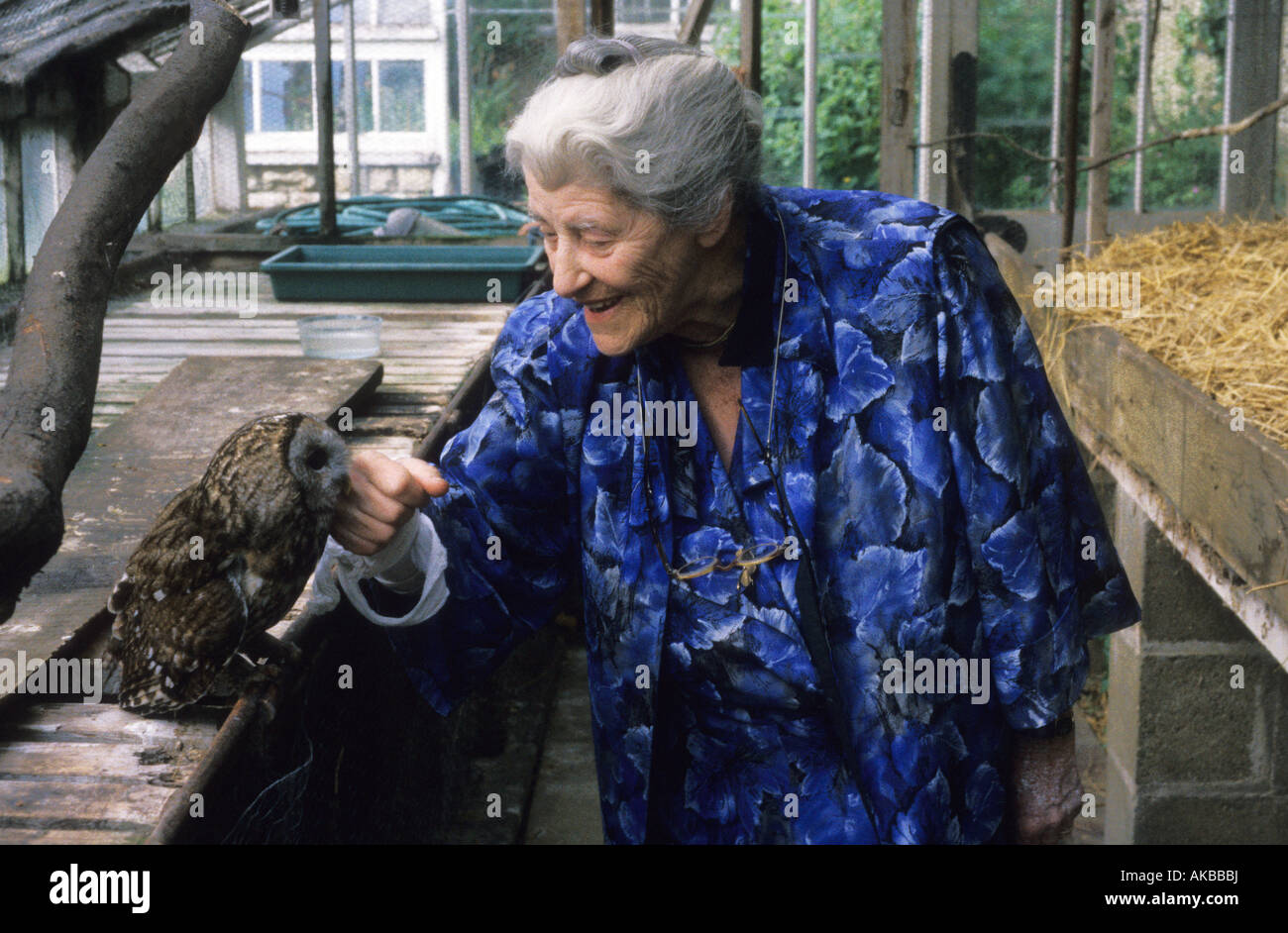 Ashton würde Peterborough Miriam Rothschild in ihrem Glashaus mit Waldkauz 1991 Stockfoto