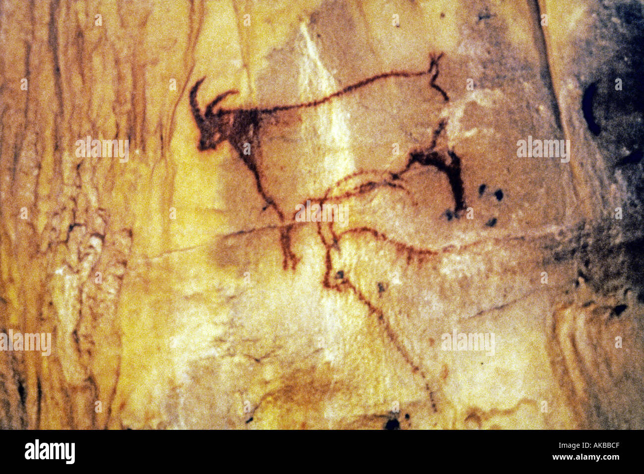 Höhlenmalereien Sie Grottes de Cougnac Frankreich Stockfoto