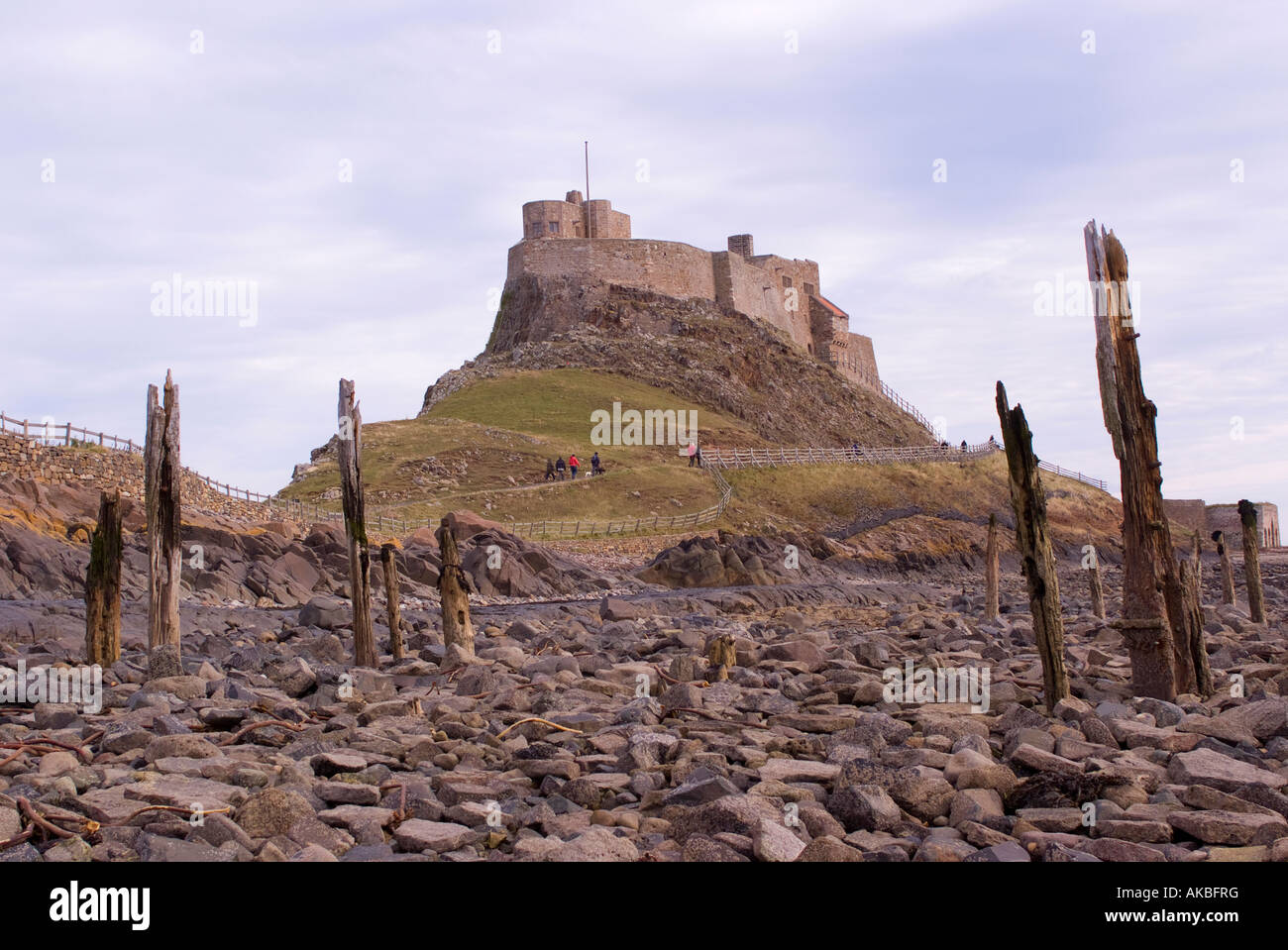 Holy Island oder Lindisfarne Castle und felsige Küste in der Nähe von Beal Northumberland-England-Großbritannien Stockfoto