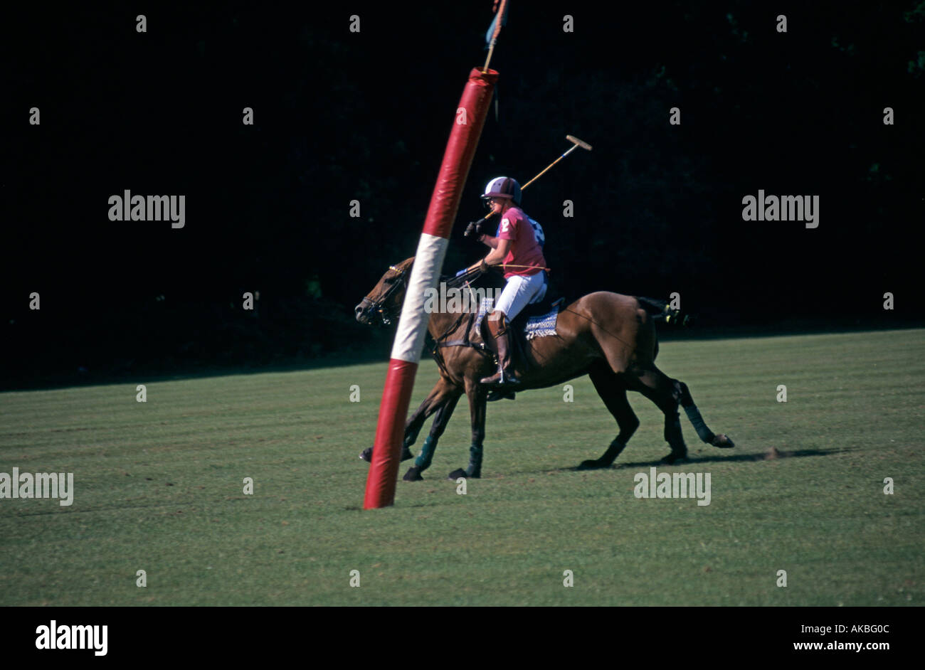 Polospiel mit Ponys und Reiter in der Nähe von Ziel scheint zu Pferd mit sechs Beinen Stockfoto