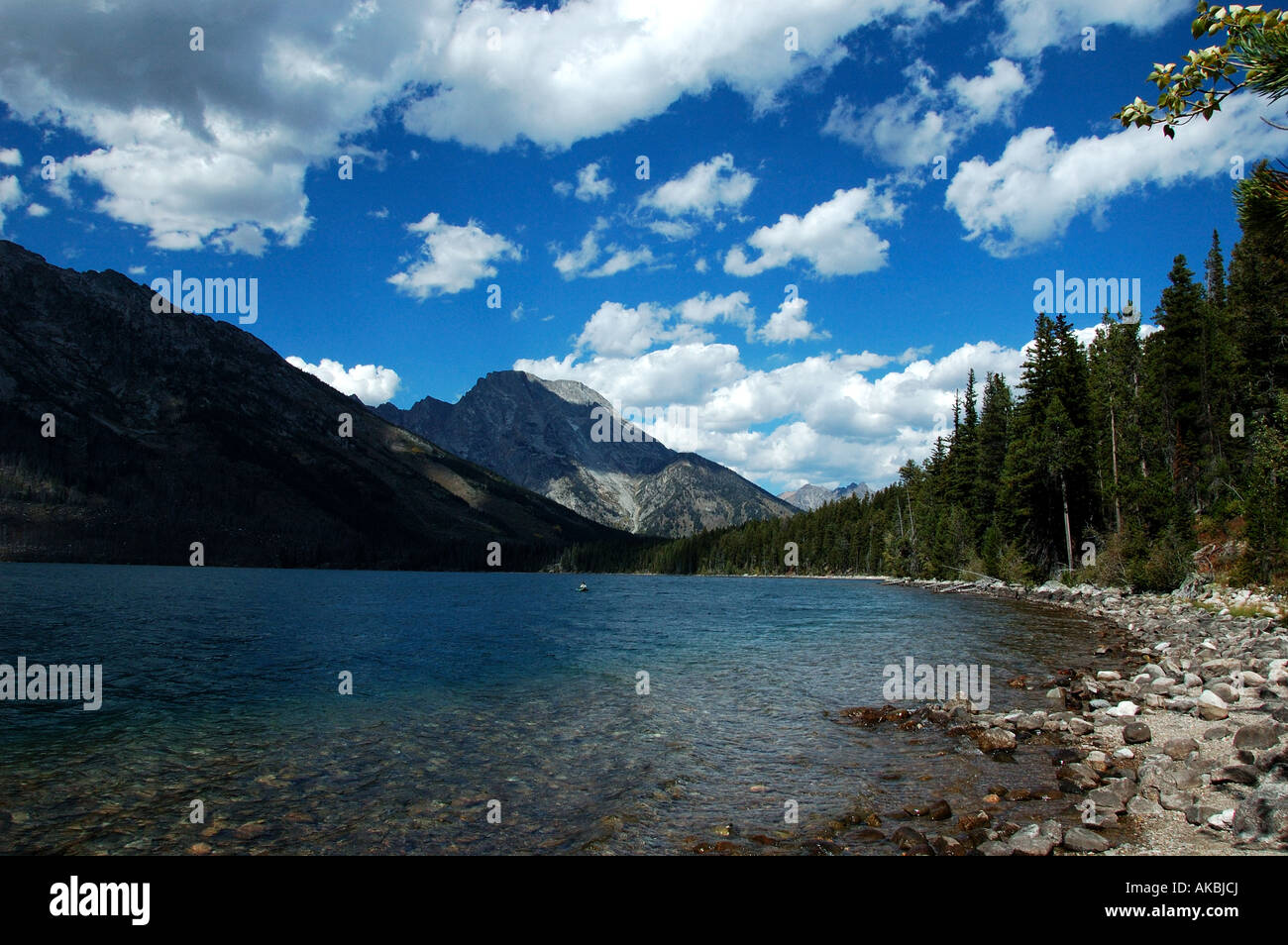 Jenny Lake, Grand-Teton-Nationalpark, Wyoming Stockfoto