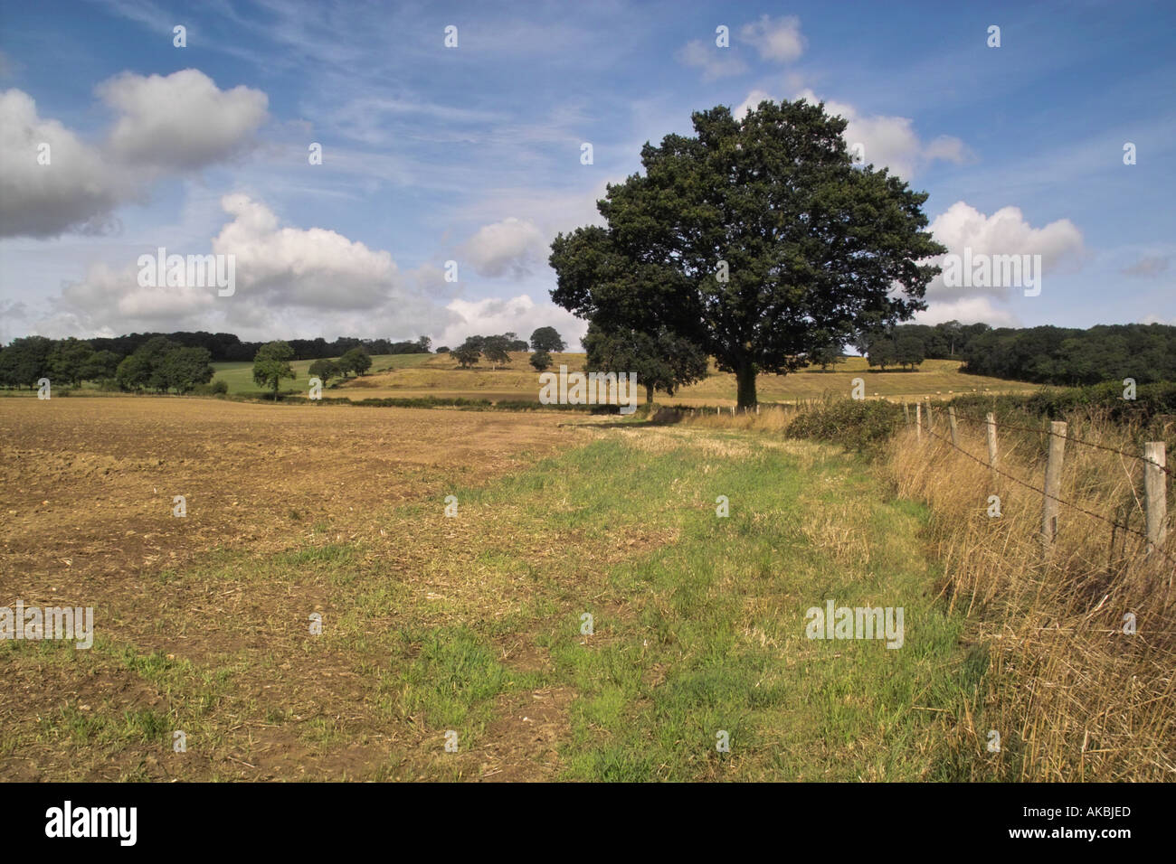 Ein Blick über Felder in Surrey Spätsommer Stockfoto