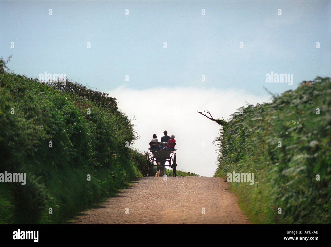 Wunderschöne Insel sark mit ihren windigen Landstraßen, die Pferde und Karren benutzen, um Touristen zu transportieren. Stockfoto