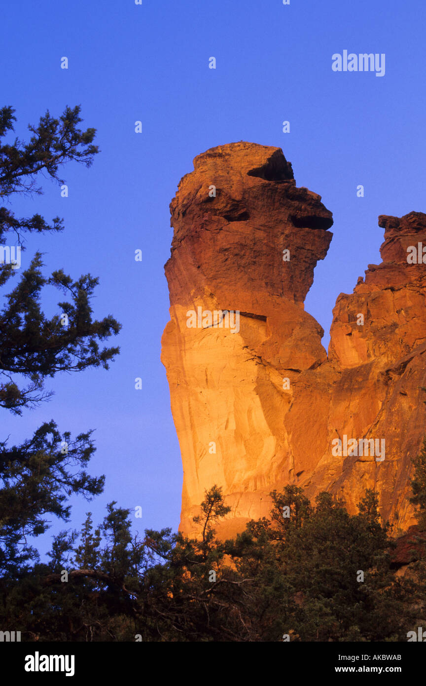 Felsformation als Affengesicht in Smith Rock State Park Oregon USA bekannt Stockfoto