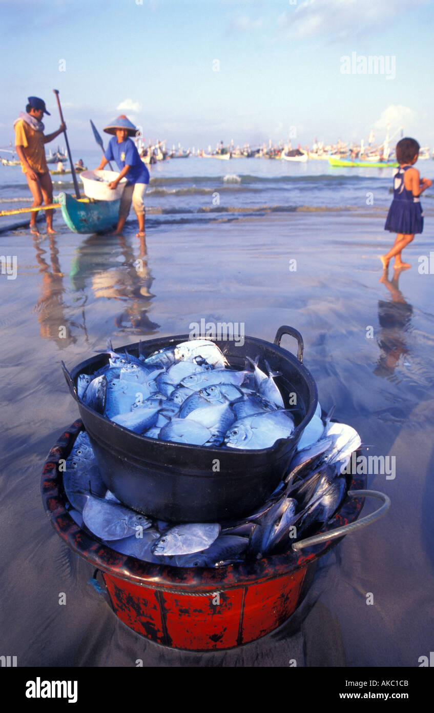 Tag s fangen Fische entladen zum Strand von Jimbaran Bali Stockfoto