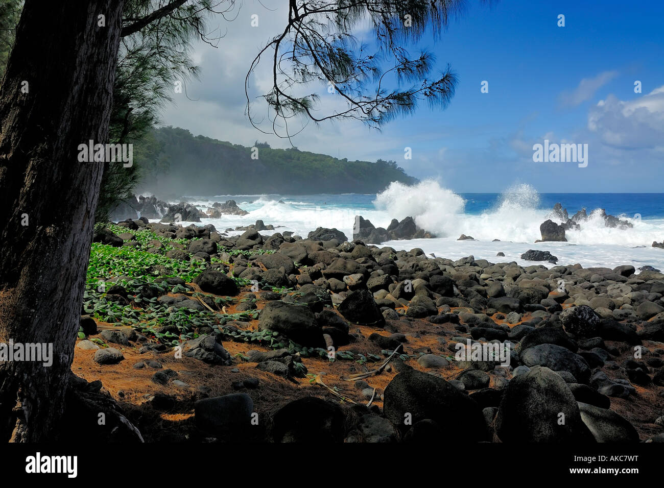 Starke Brandung am Laupahoehoe Punkt auf der Ostseite von Hawaii nach Ableben von einem Wintersturm, Big Island, Hawaii, USA Stockfoto