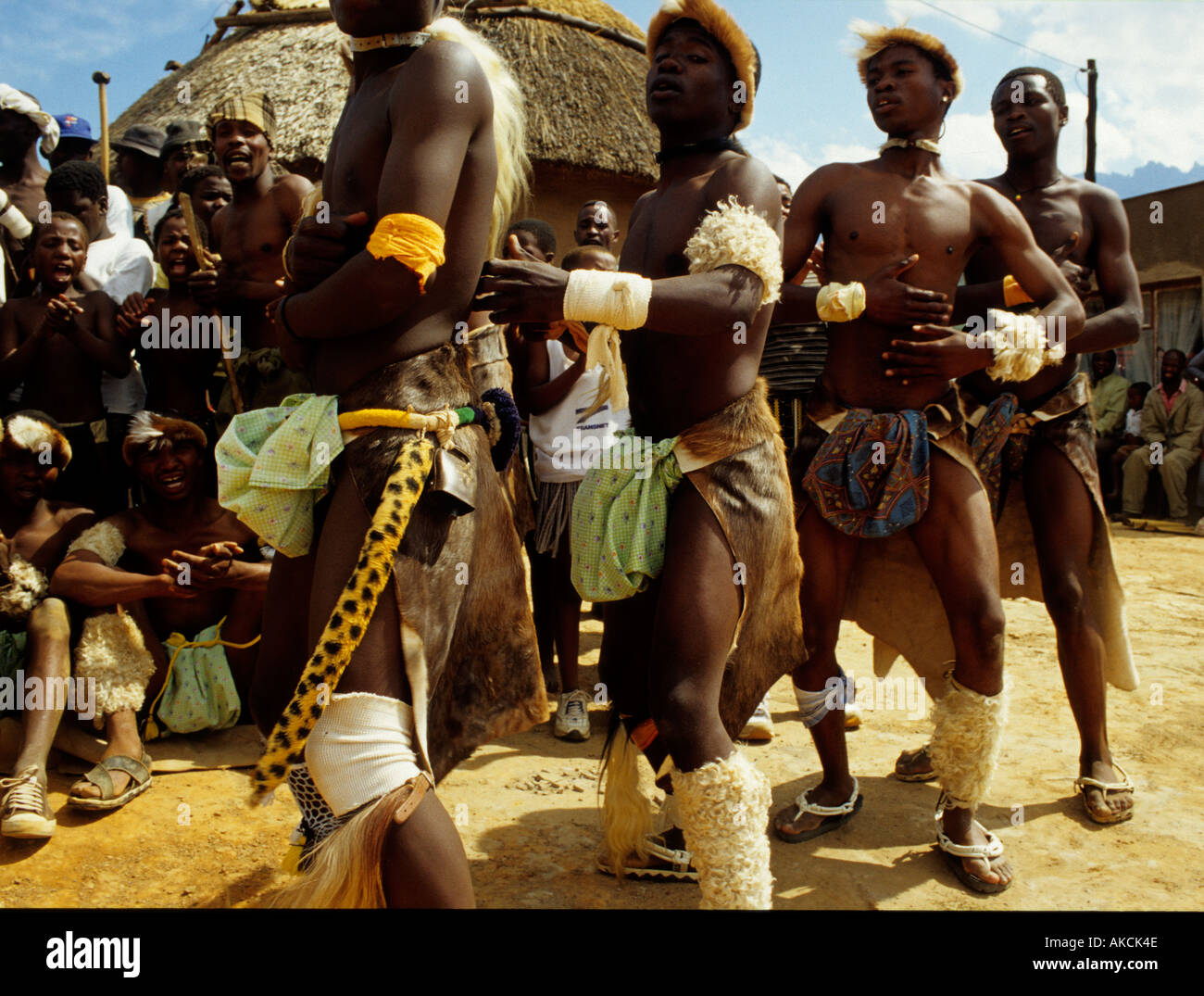 Dorfbewohner, die Durchführung der traditionellen Zulu Tanz Südafrika Stockfoto