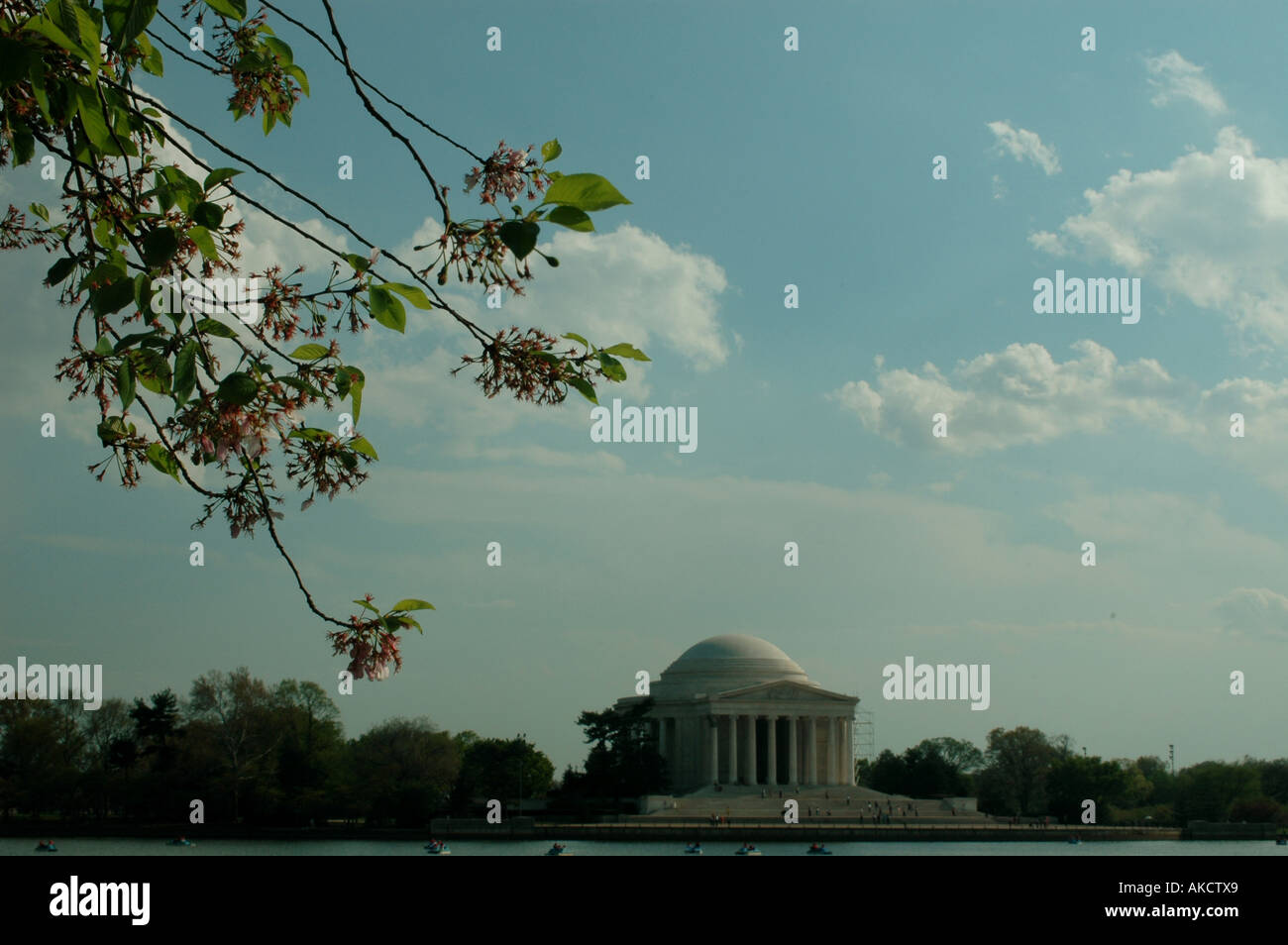 WASINGTON DC THOMAS JEFFERSON MEMORIAL MIT KIRSCHBLÜTEN Stockfoto