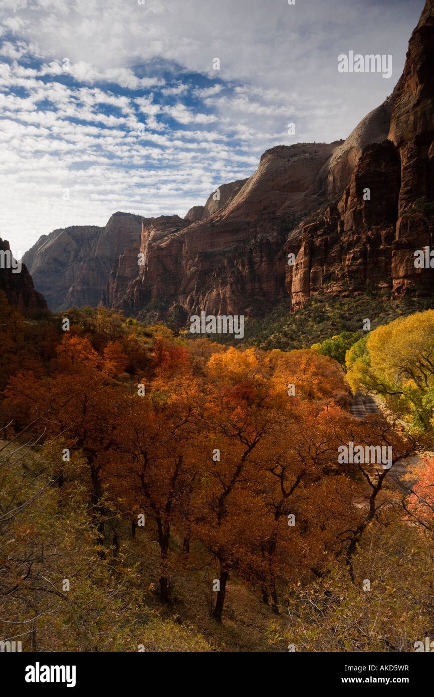 Sanftes Licht auf die Virée rot- und Gelbtöne der Zion Nationalpark, Utah, USA Stockfoto