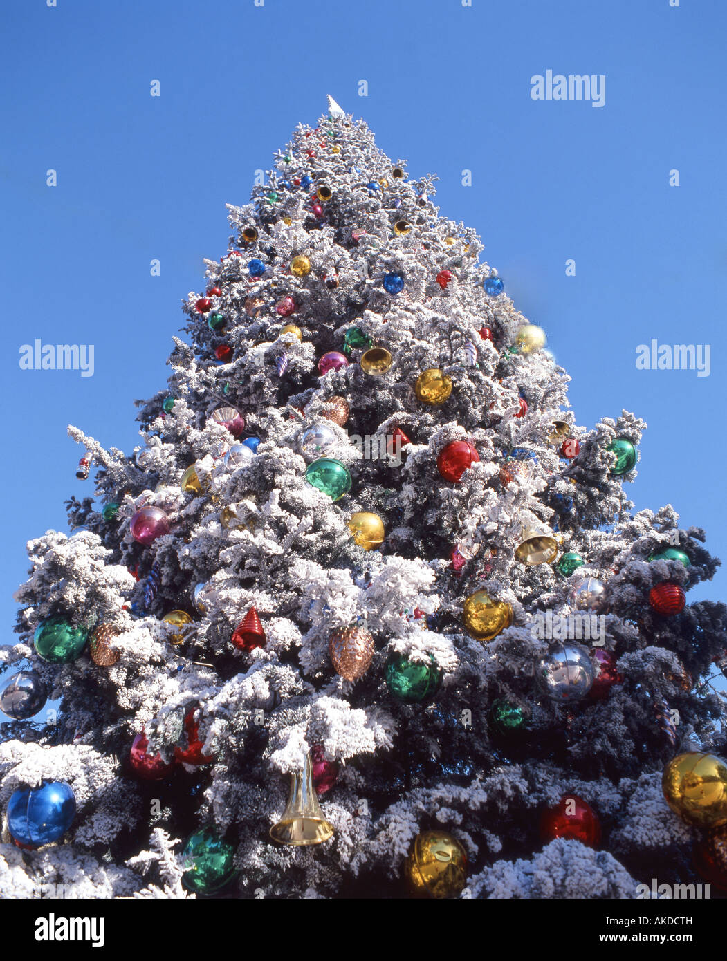 Geschmückter weihnachtsbaum im Freien, Disneyland Park, Anaheim, Kalifornien, USA Stockfoto