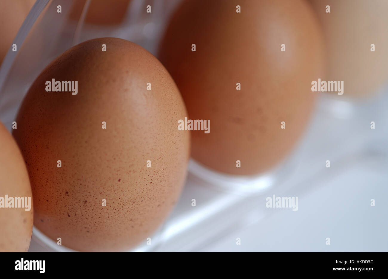 Nahaufnahme des Tabletts mit frischen braunen Hühnern Eier Ei Stockfoto