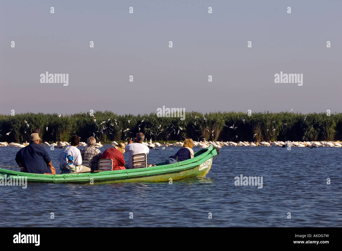 Touristen auf See Uzlina auf Vogelbeobachtung Reise, Donaudelta, Rumänien Stockfoto
