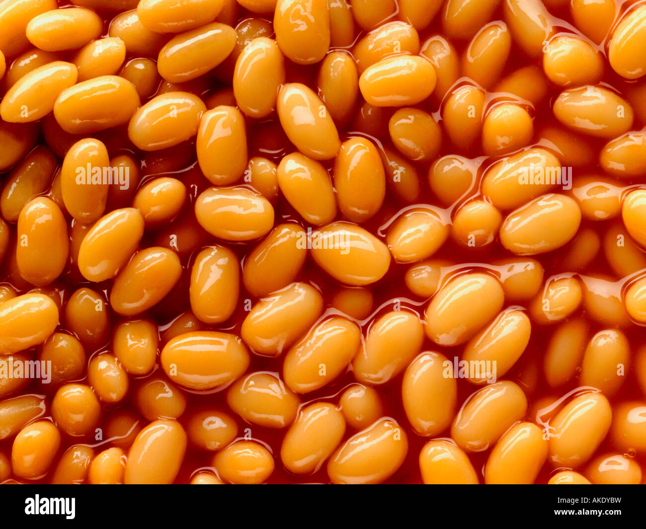 Eine perfekte NAHAUFNAHME VON Baked Beans IN TOMATEN SAUCE gebackene Bohnen bakedbeans Stockfoto