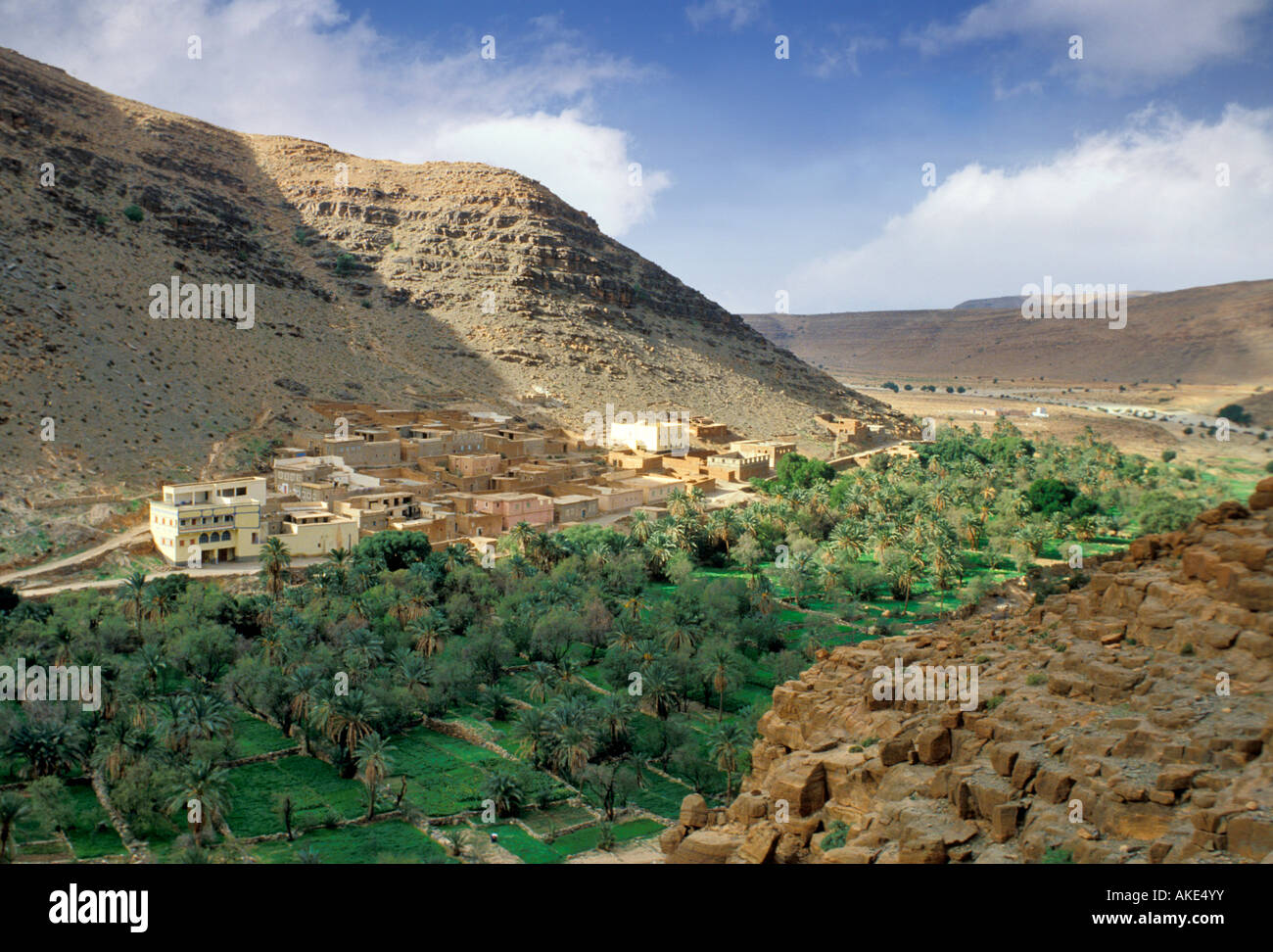 Oasis und Canyon, Amtoudi, Marokko Stockfoto