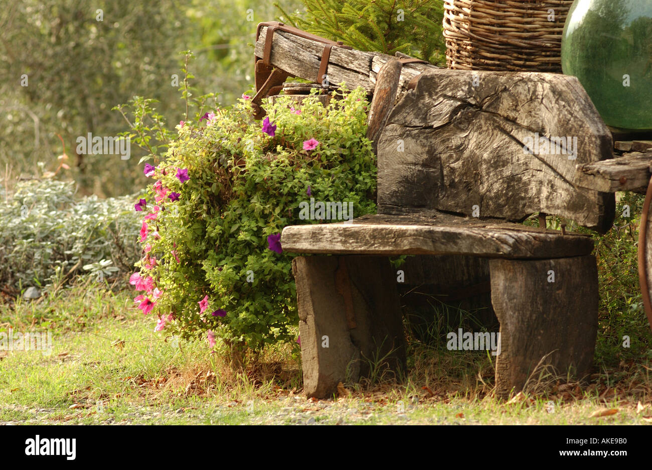 Stein-Sitzbank mit Weinflaschen in Weinbergen der Toskana Italien Stockfoto