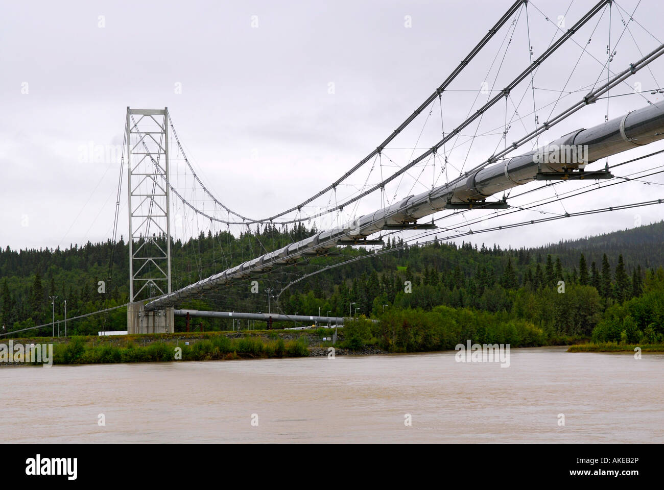 Tanana River Wasser Pipeline Brücke Suspension Delta Junction Alaska AK U S USA Alyeska Service Company Öl Brennstoffenergie Stockfoto