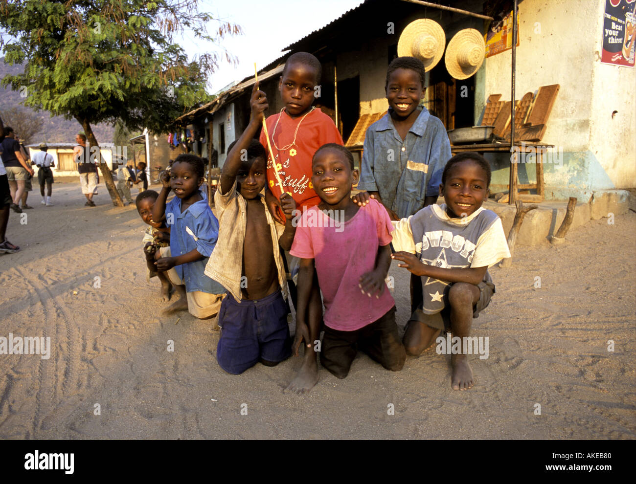 Malawi-Afrika-Gruppe der malawischen schwarze Rüden Stockfoto