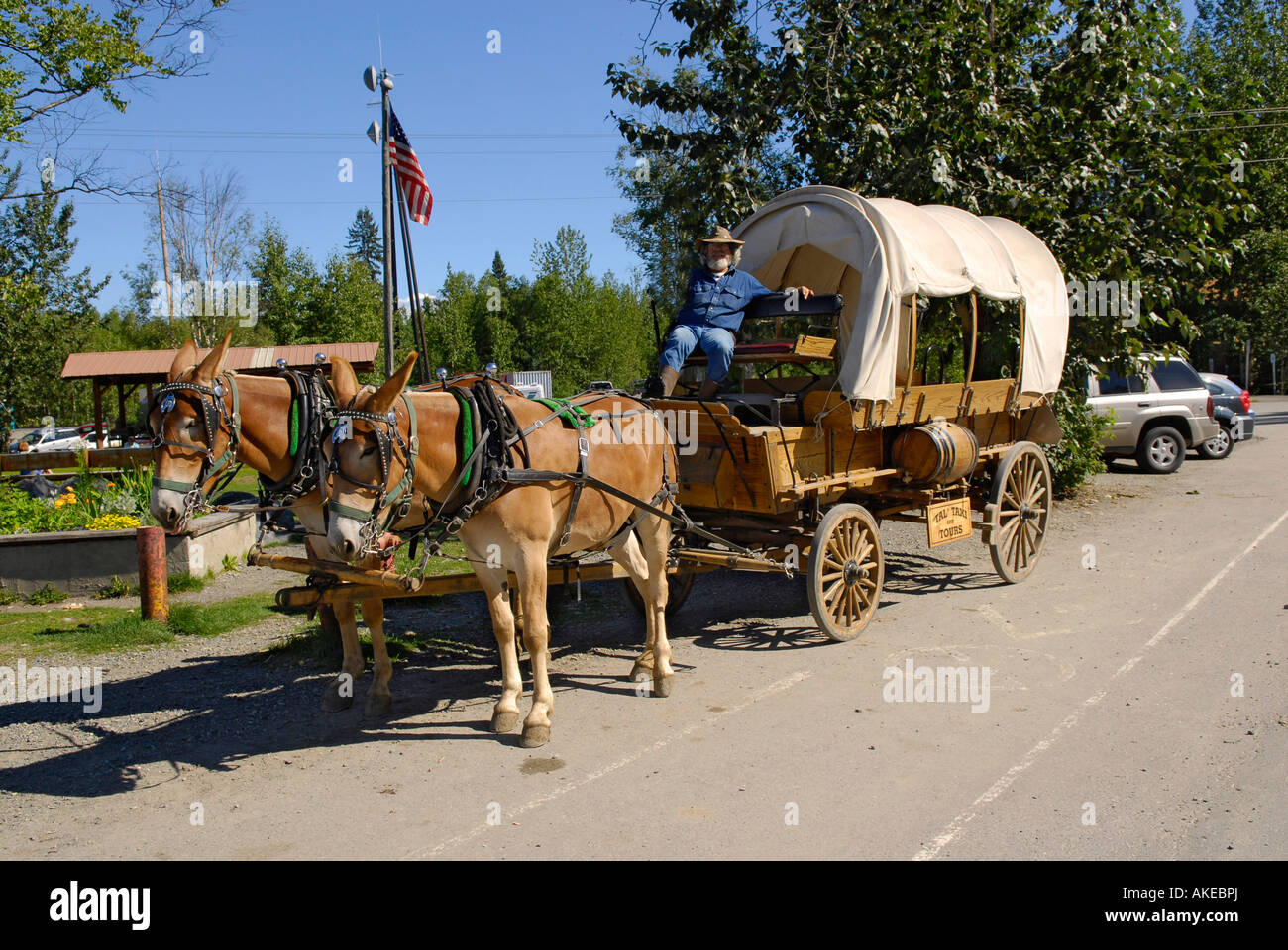 Historischen Planwagen mit Pferde und Fahrer in Stadt von Talkeetna Alaska AK Enttarnung im Norden in der Nähe von Denali Nationalpark Mt McKi Stockfoto
