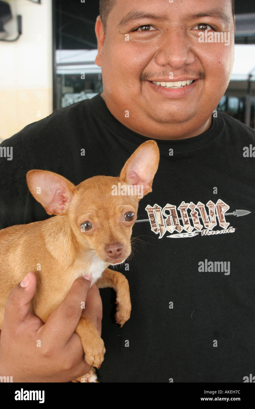 Hollywood Florida, Seminole Hard Rock Casino Hotel and Resort, Indianer der  Ureinwohner, Erwachsene Erwachsene Männer, Männer, Hunde, Haustiere, Hunde,  Tiere, Familien Stockfotografie - Alamy