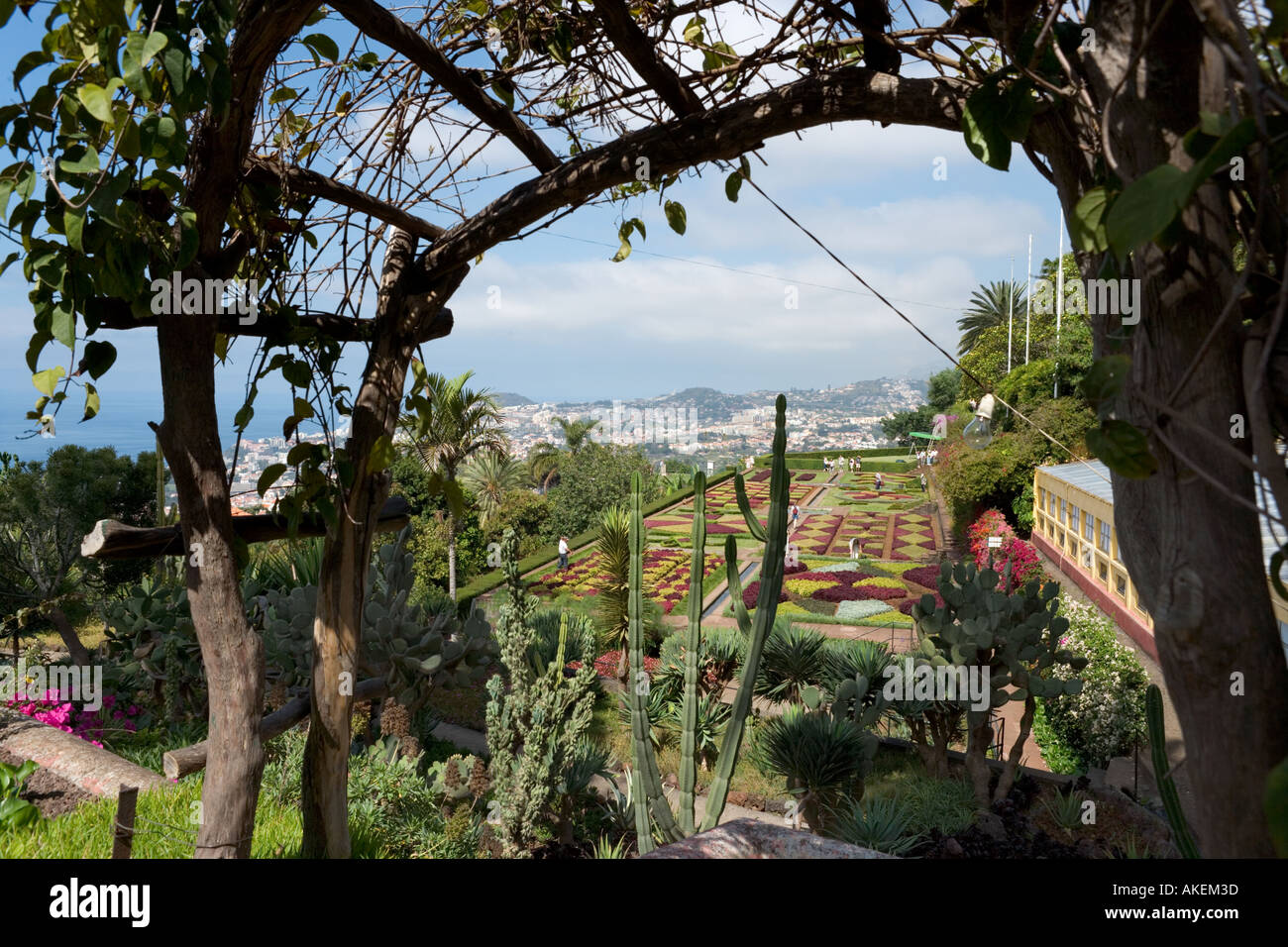Botanische Gärten, Funchal, Madeira, Portugal Stockfoto