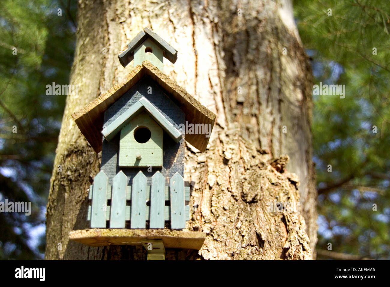 Vogelhaus Stockfoto