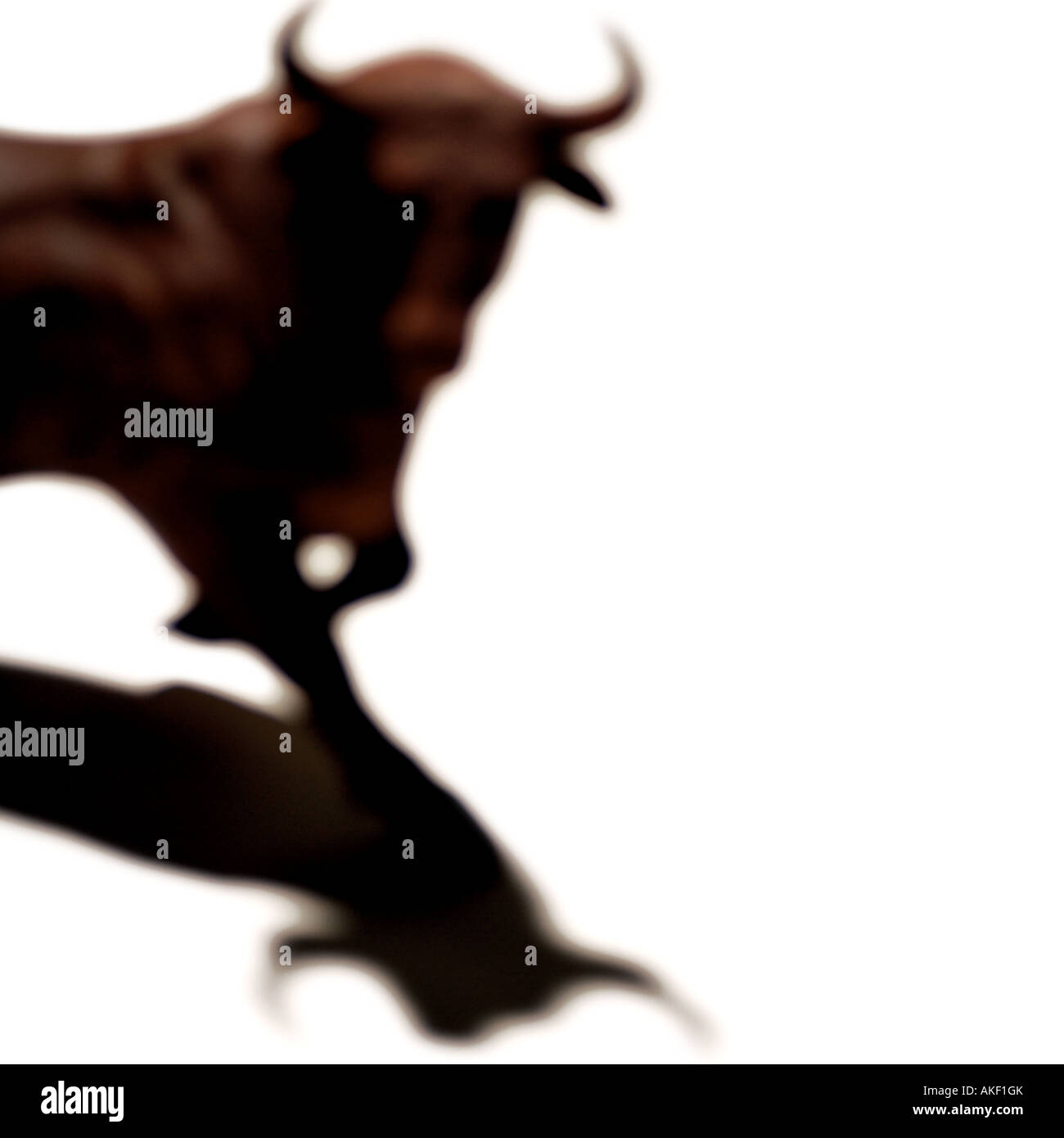 Silouette und Schatten eines Stiers. Bild von Patrick Steel patricksteel Stockfoto