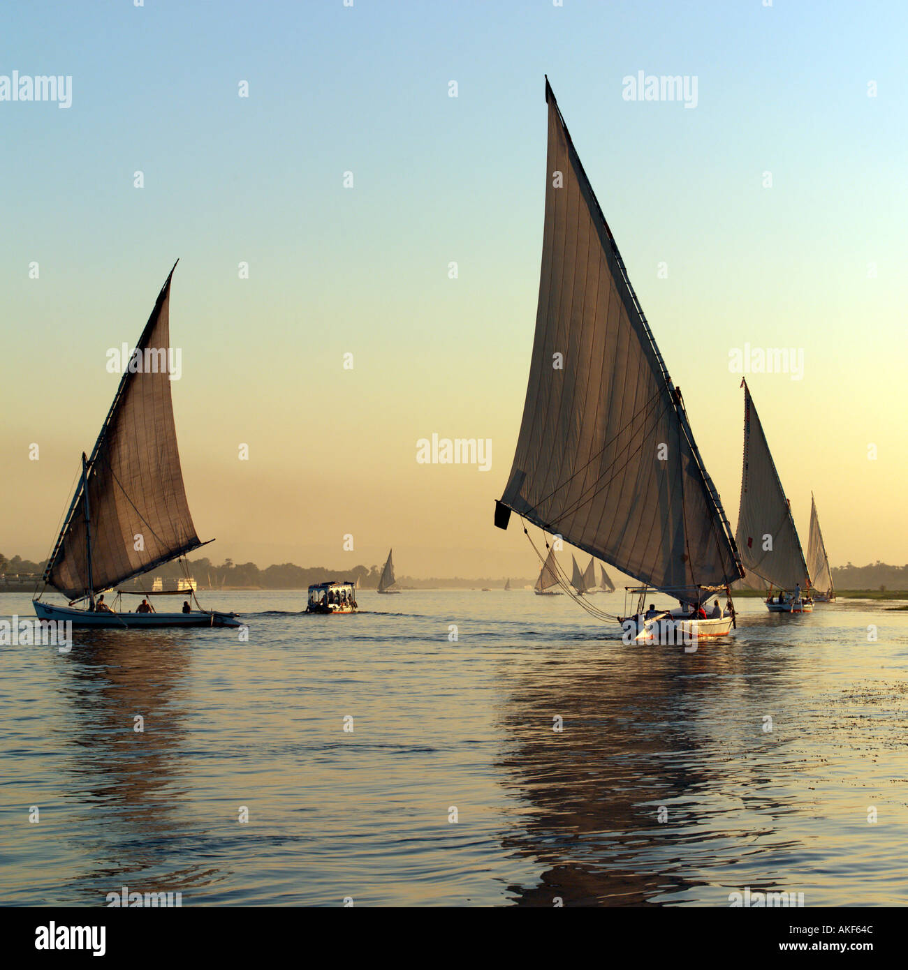 Feluken Segeln auf dem Nil Stockfoto