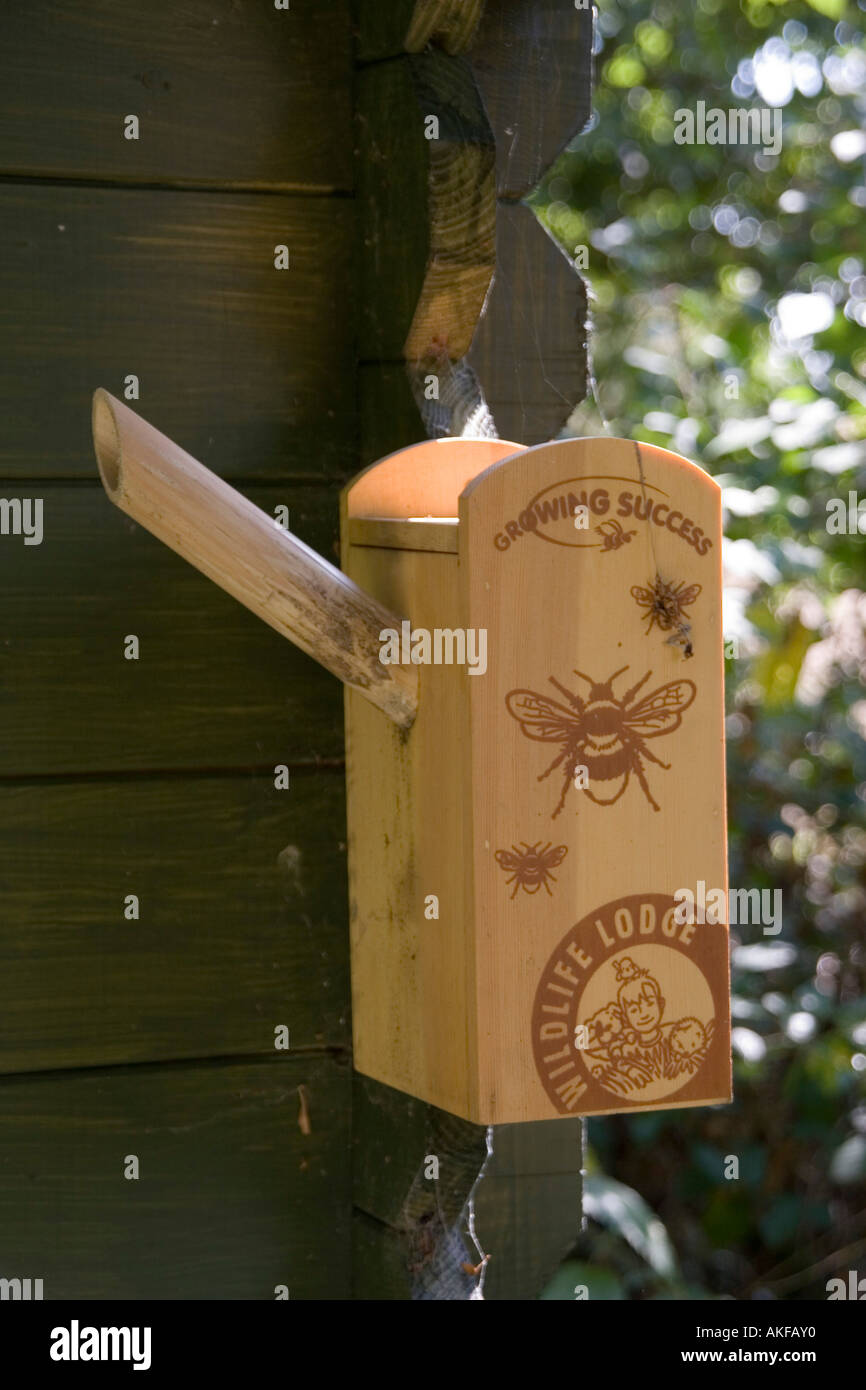 Bumble Bee Nistkasten auf Gartenhaus Stockfoto