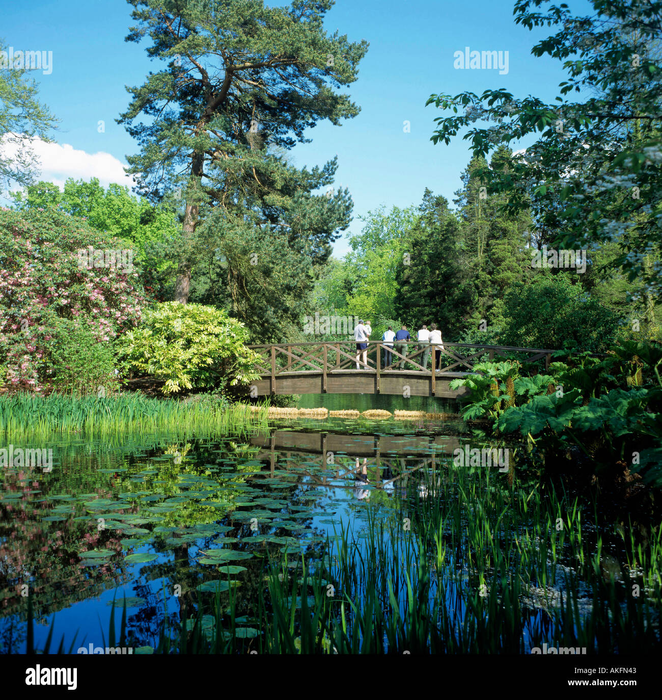 japanische Gärten an Tatton Park in der Nähe von Dorf Knutsford Grafschaft Cheshire England Großbritannien Stockfoto