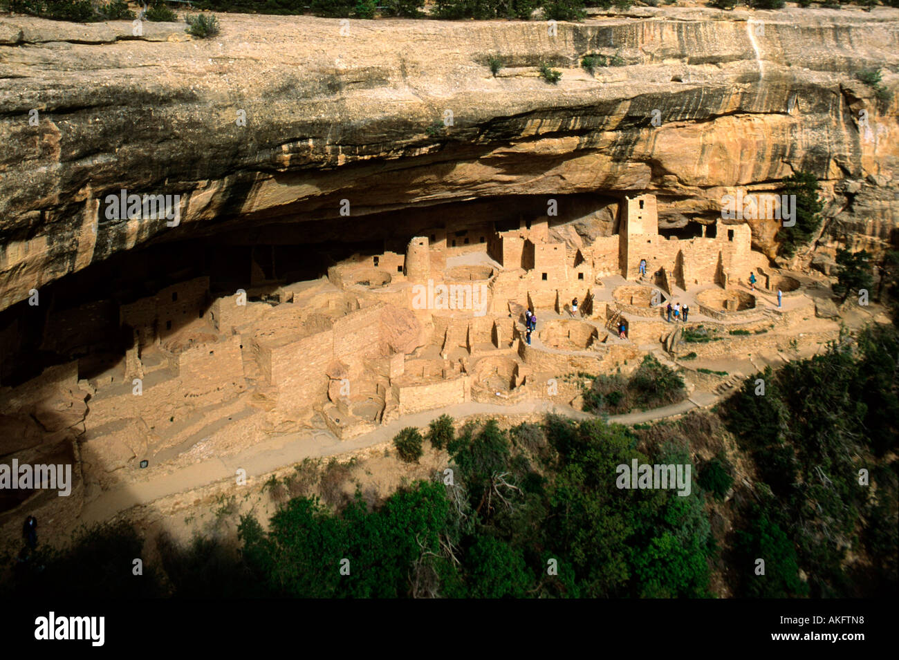 USA, Colorado, Mesa Verde Nationalpark, Cliff Palace Stockfoto