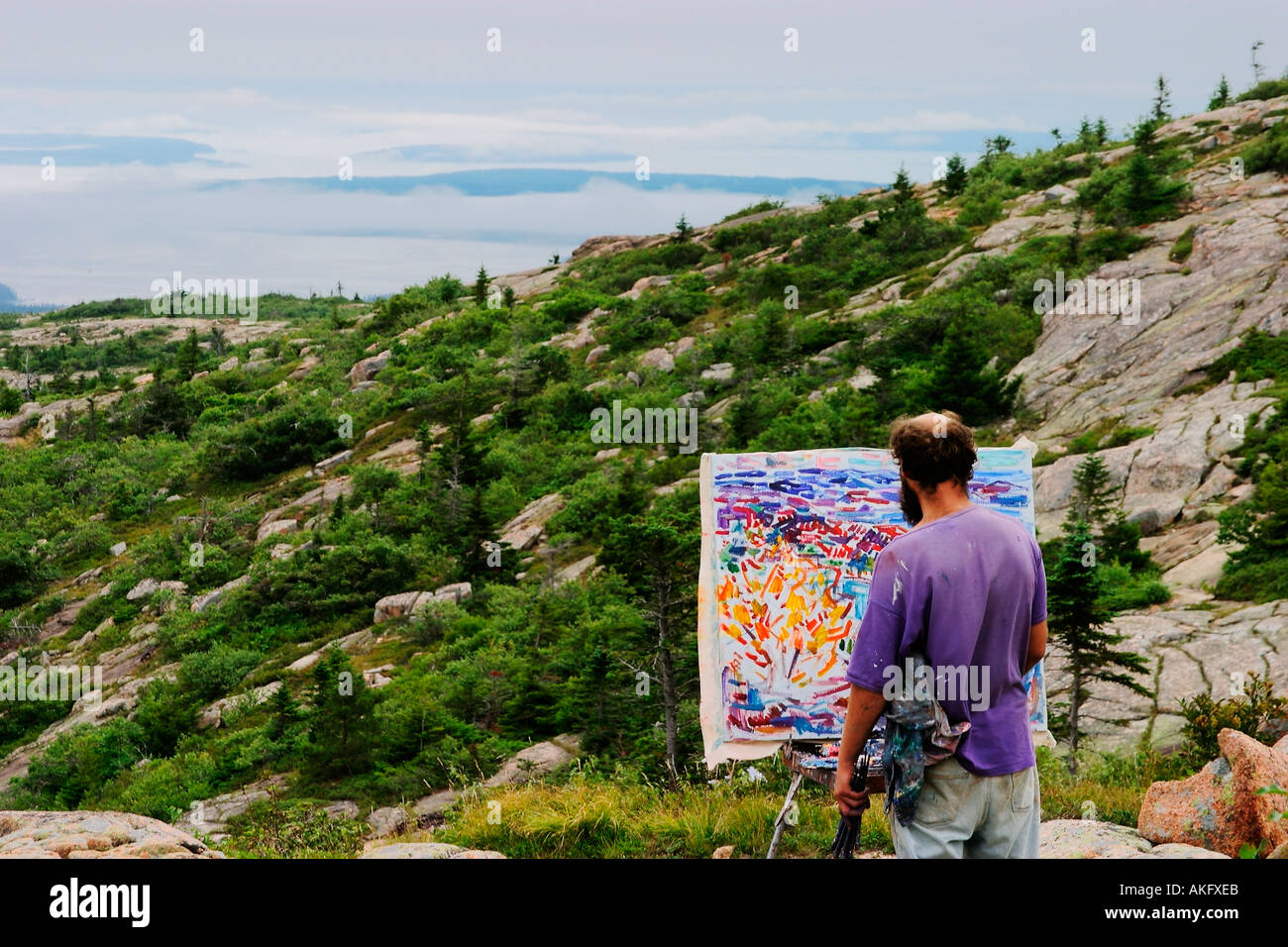 Malerei auf dem Cadillac Mountain in Acadia Nationalpark Maine Stockfoto