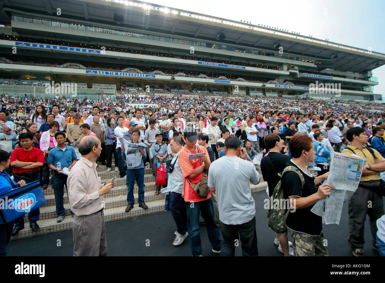 Tribünen voller Menschen in Sha Tin Racecourse in Hong Kong. Stockfoto