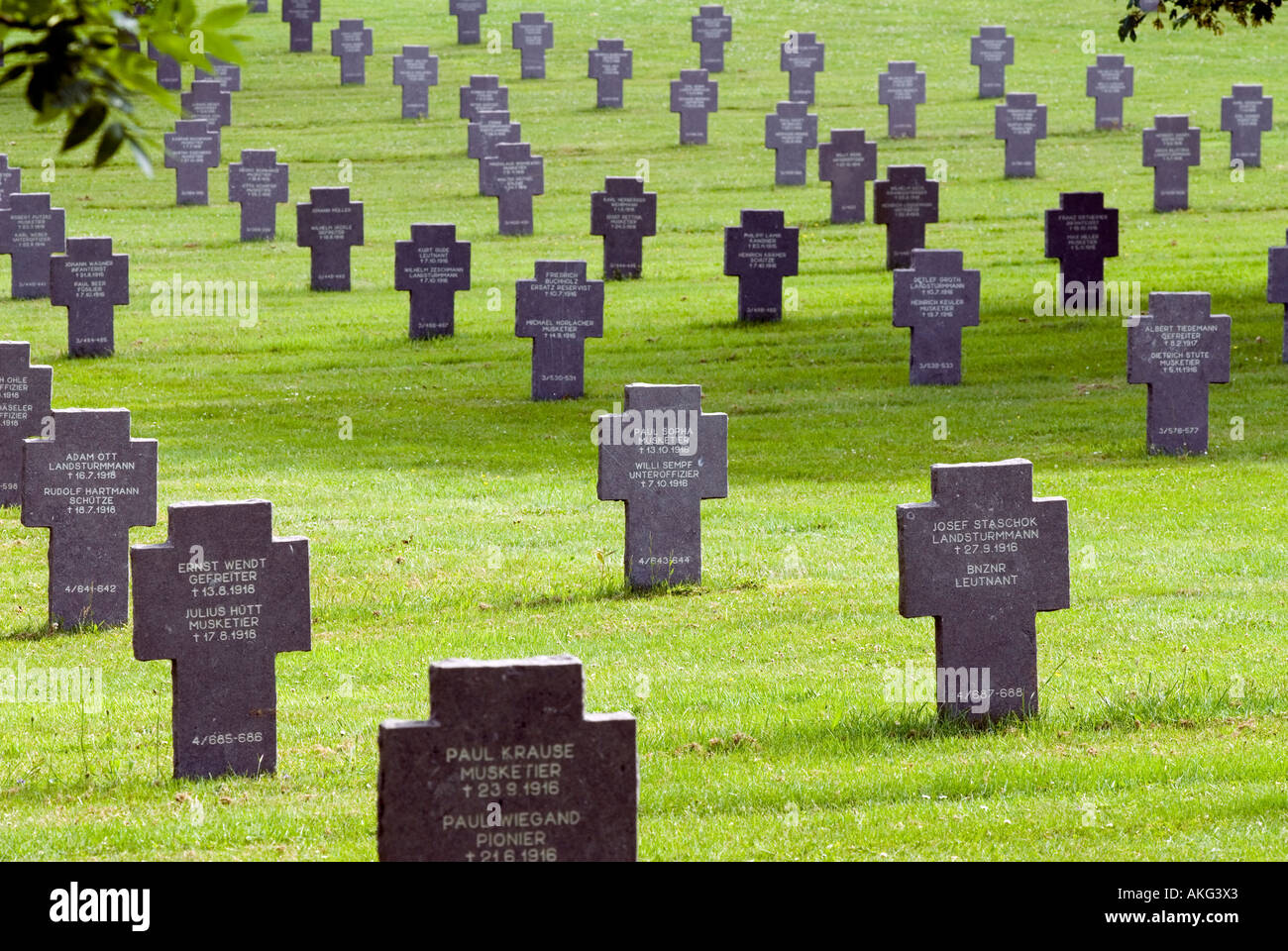 FRANKREICH DEUTSCHE 1914 1918 SOLDATENFRIEDHOF AM RANCOURT AN DER SOMME Stockfoto