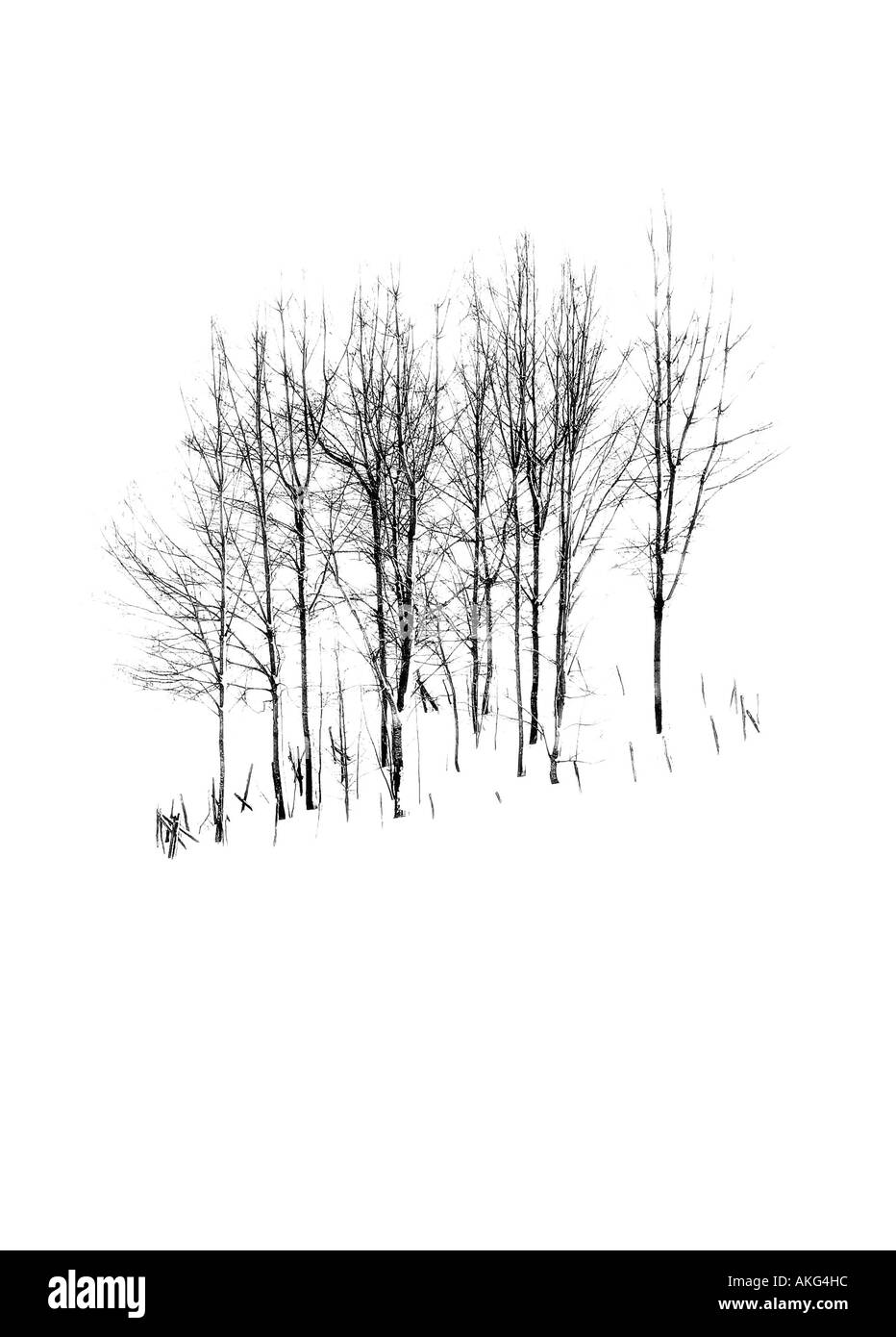 schöne Winterstimmung Stockfoto