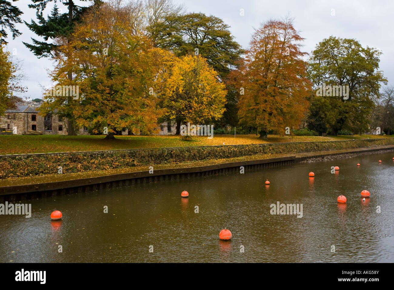 Herbstliche Bäume auf Vire Insel in Totnes Devon UK Stockfoto