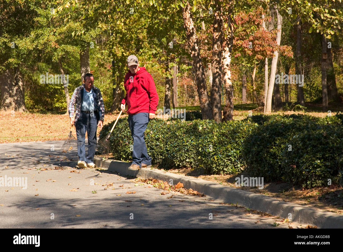 Arbeiter Harke Herbstlaub am Saluda Shoals Park Columbia South Carolina, USA Stockfoto
