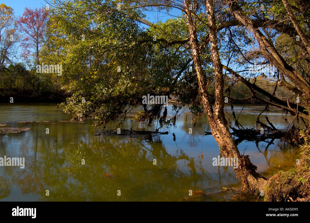 Saluda River bei saluda Shoals Park Columbia South Carolina usa Stockfoto