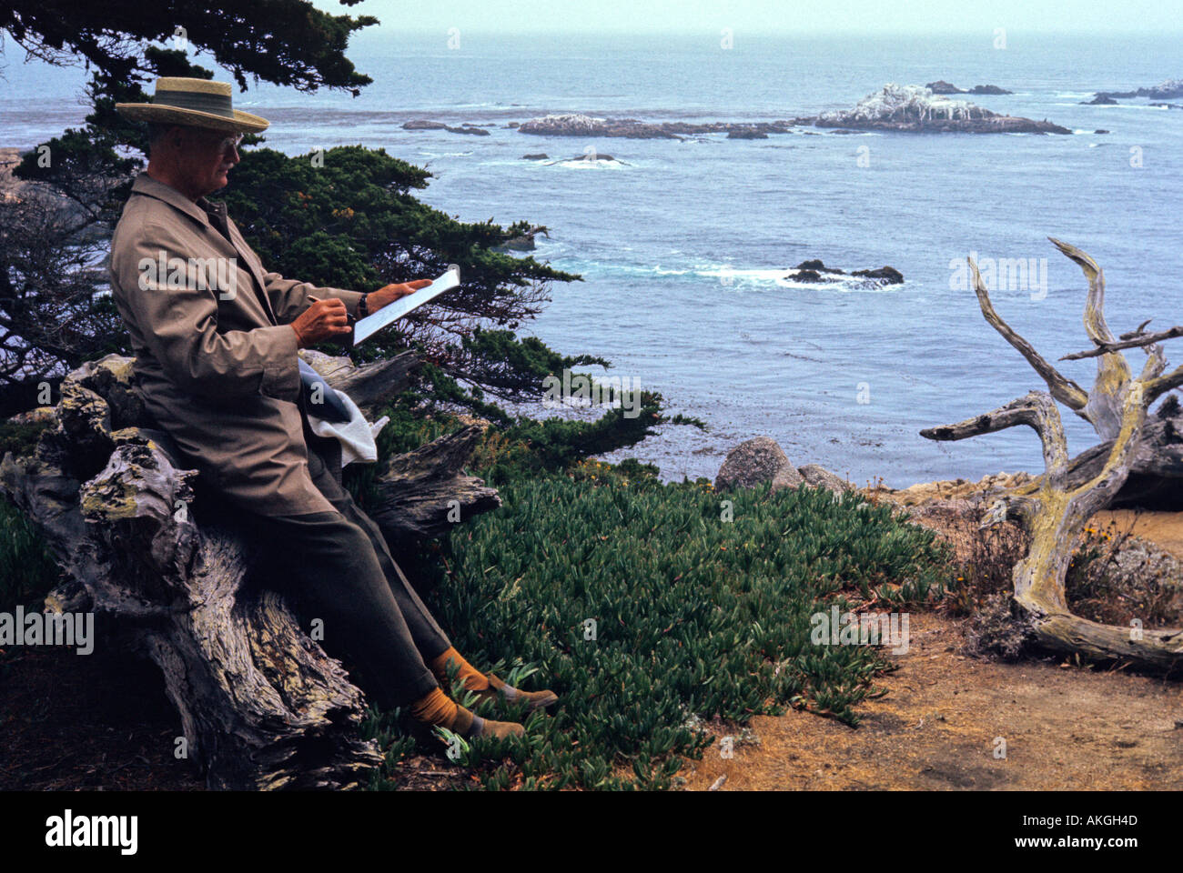 Künstler zeichnen, Point Lobos Monterey Kalifornien Stockfoto