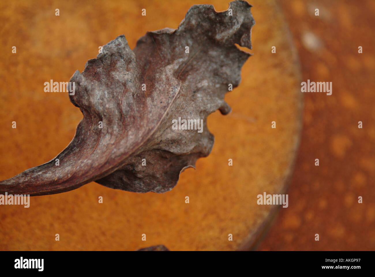 Herbst-Blatt auf verrosteten Oberfläche Kunst künstlerisch rot Rost Siena gebrannt Umbra Stockfoto