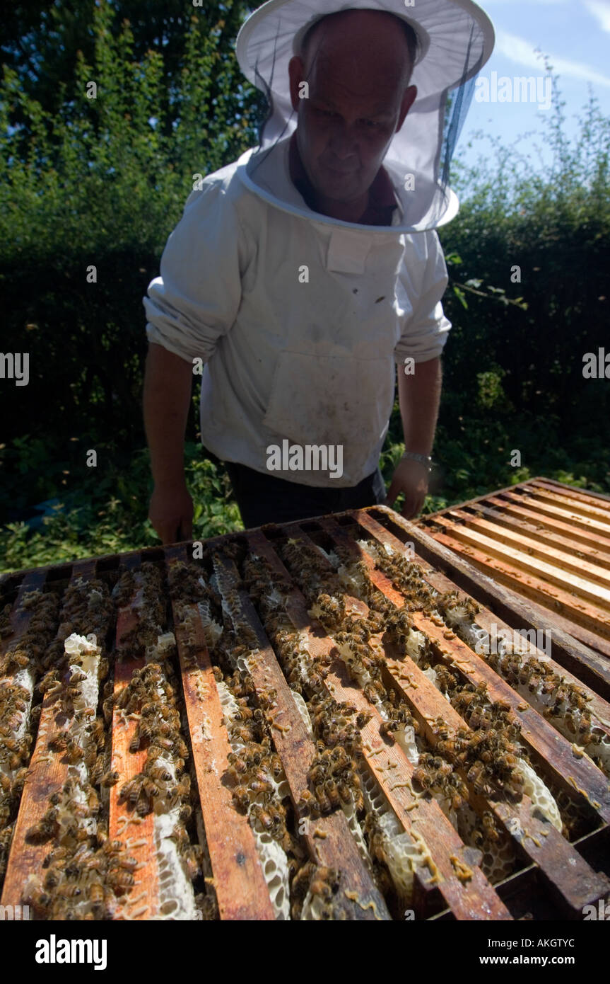 Imker mit Bienenkorb Stockfoto