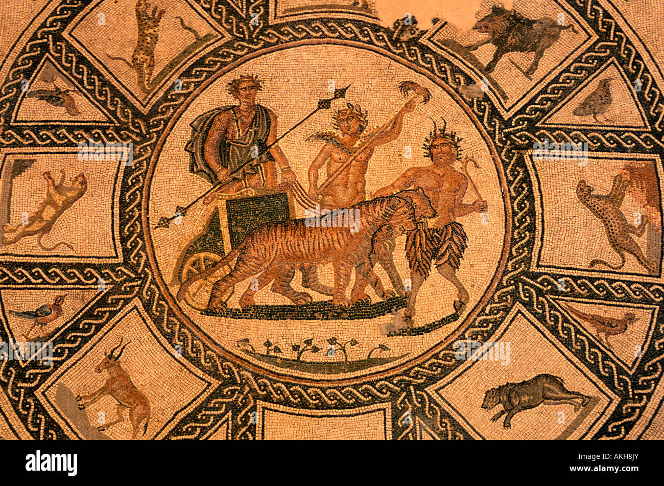 Trionfo di Dioniso Mosaik, Archäologisches Museum, Sarsina, Emilia Romagna, Italien Stockfoto