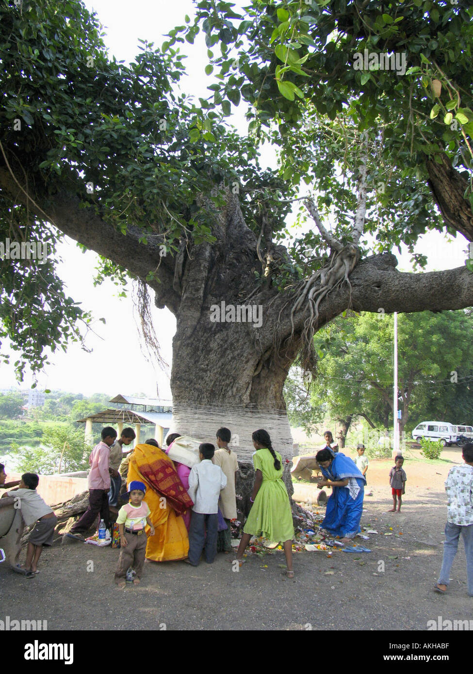 Indianerfest - MwSt Savitri: The Savitri Festival fällt auf den Vollmondtag des Monats Jyeshtha, etwa im Juni. Stockfoto
