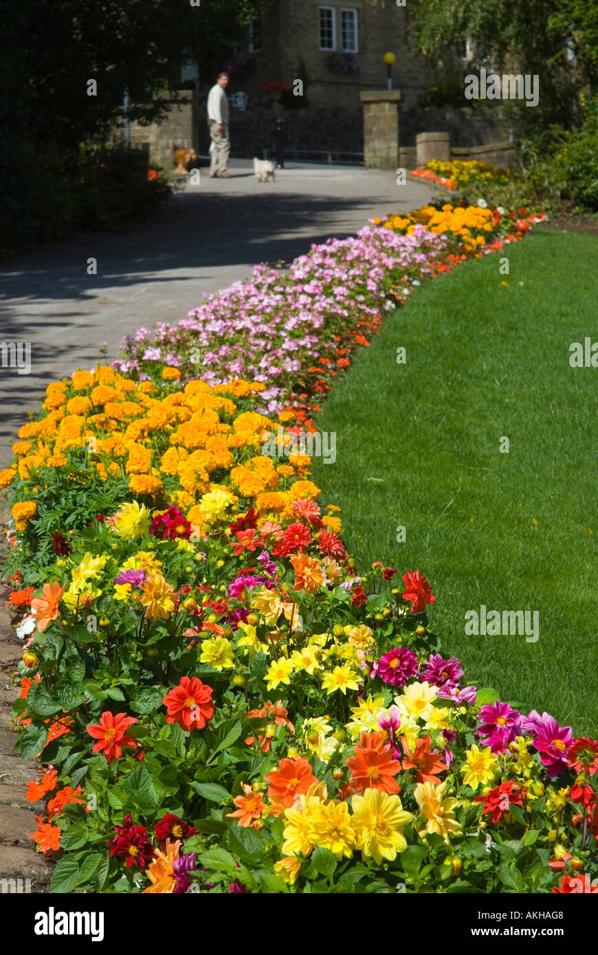 Blumen in voller Blüte im öffentlichen Park in England Stockfoto
